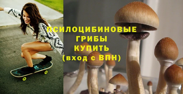 ПСИЛОЦИБИНОВЫЕ ГРИБЫ Абдулино