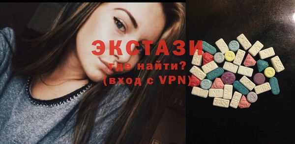 индика Алексин